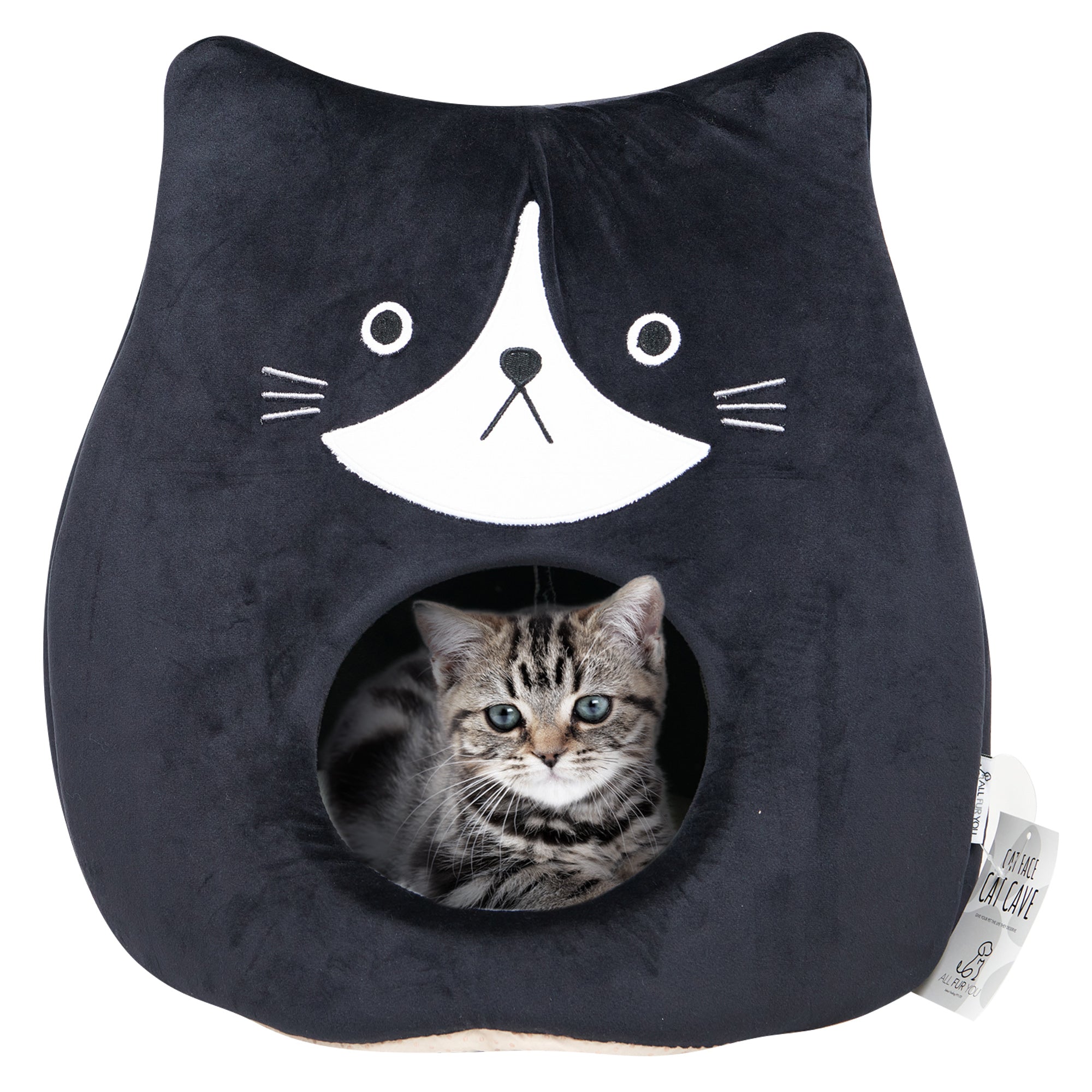 Cat Face Cat Cave
