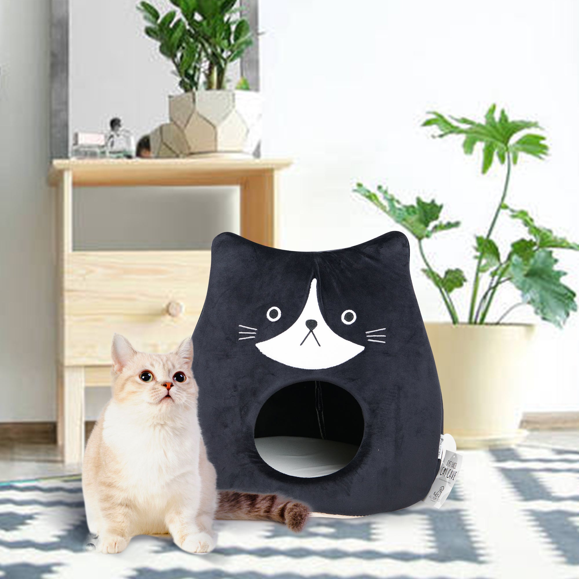 Check out our Cat Cave Collection!