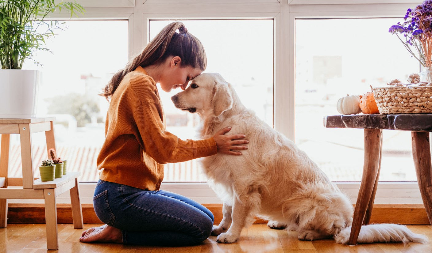 How Pets Improve Our Mental Health