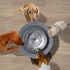 8L Dog Family Water Fountain - Wireless