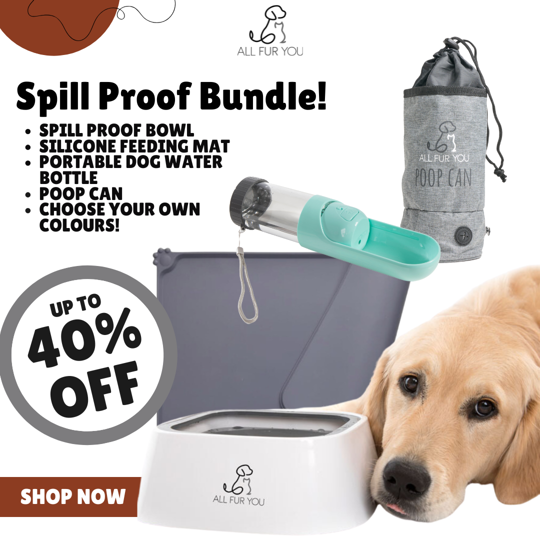 Spill Proof Bundle