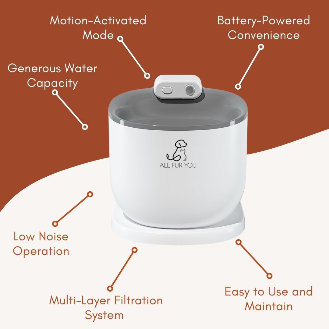 Auto Sensor Fountain - Fresh Hydration Anywhere, Anytime!
