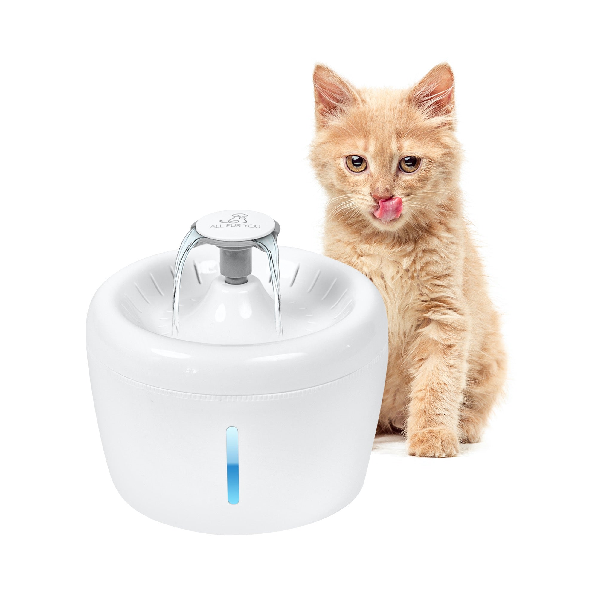 Whisper Fountain - Available @ Pet Circle