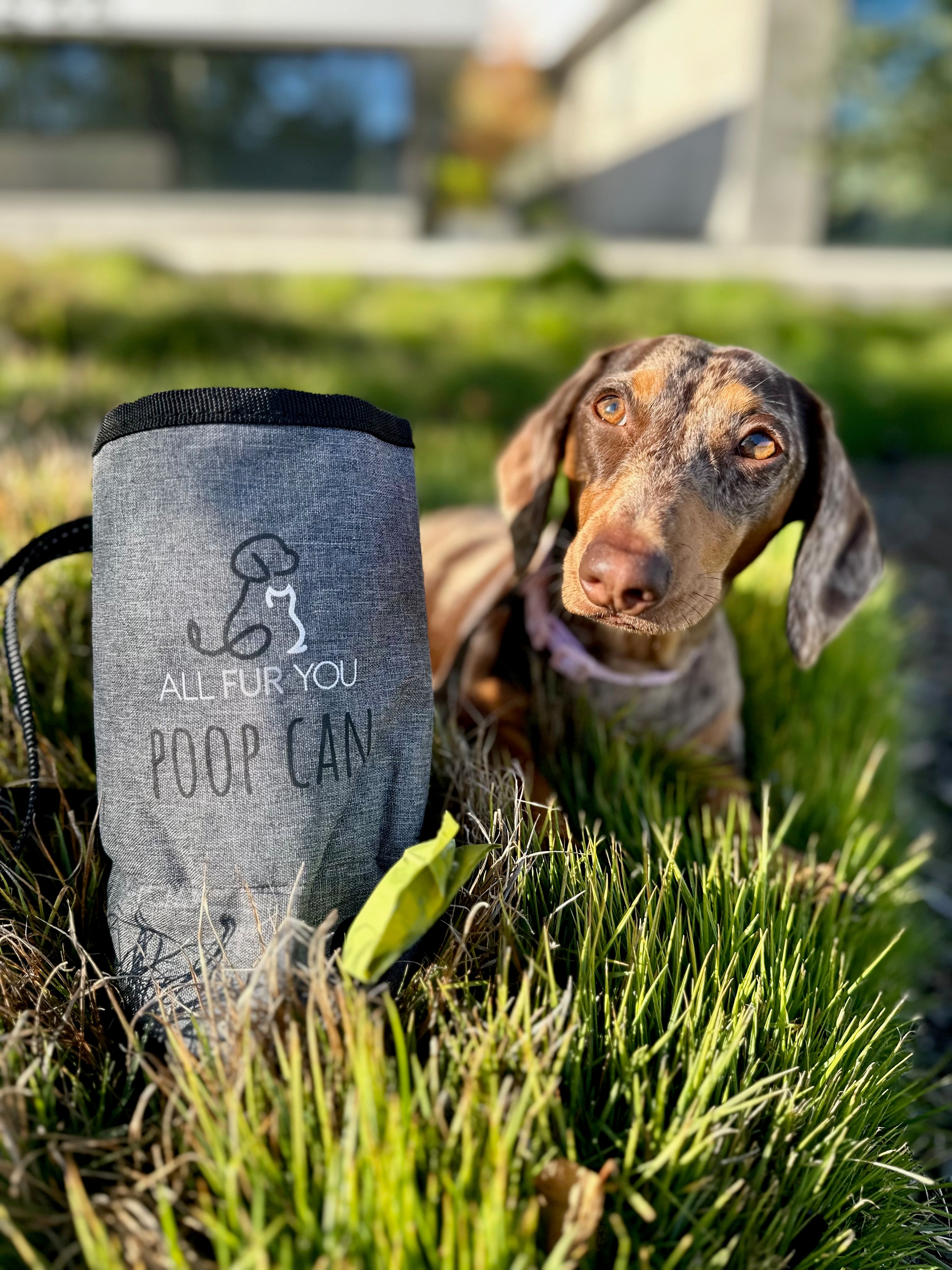 Dog poop clearance carry bag