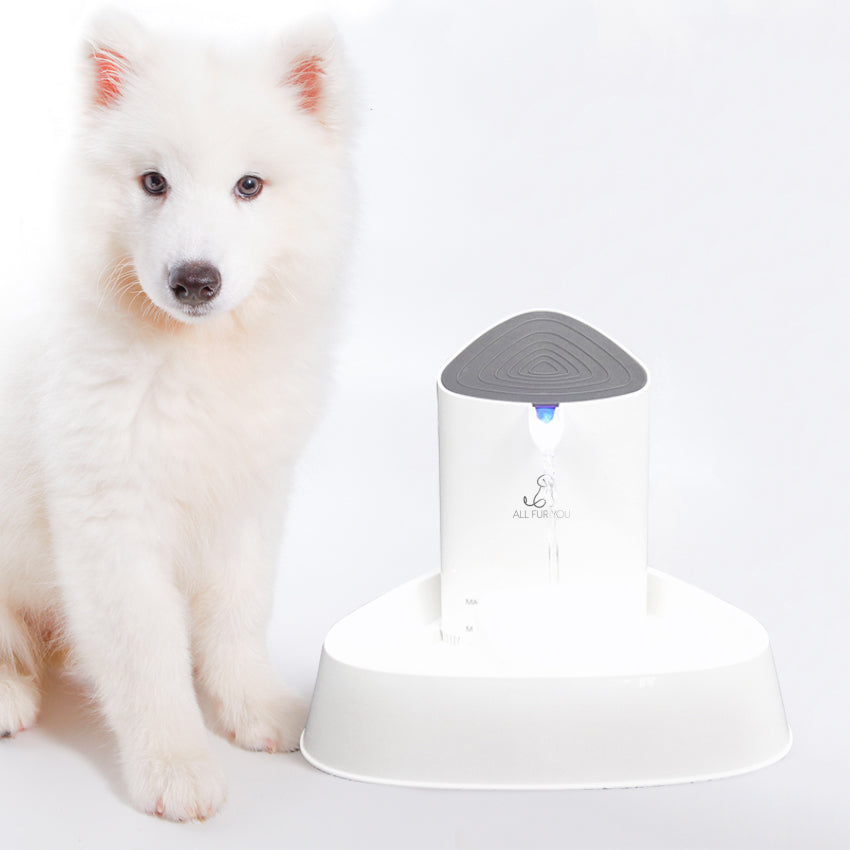 Seashell Pet Water Fountain - Available @ Pet Circle